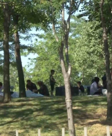 Bayrampaşa’da kaçak kurban kesenler kamerada