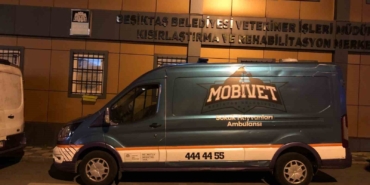 Beşiktaş Belediyesi yangın felaketinin yaşandığı bölgeye hayvan ambulansı gönderdi