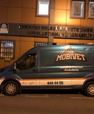 Beşiktaş Belediyesi yangın felaketinin yaşandığı bölgeye hayvan ambulansı gönderdi
