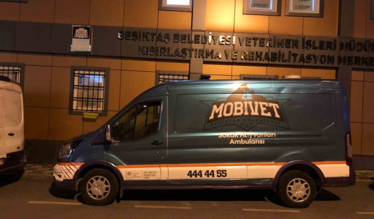 Beşiktaş Belediyesi yangın felaketinin yaşandığı bölgeye hayvan ambulansı gönderdi