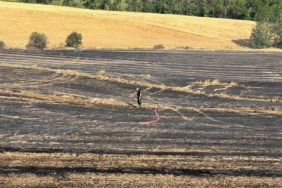 Biçerdöverin kıvılcımı tarlayı yaktı