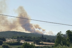 Biga’daki orman yangını kontrol altına alındı