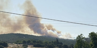 Biga’daki orman yangını kontrol altına alındı