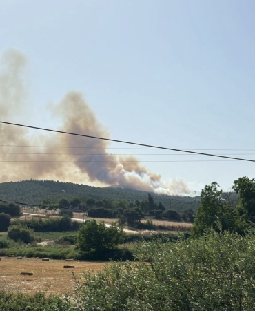 Biga’daki orman yangını kontrol altına alındı