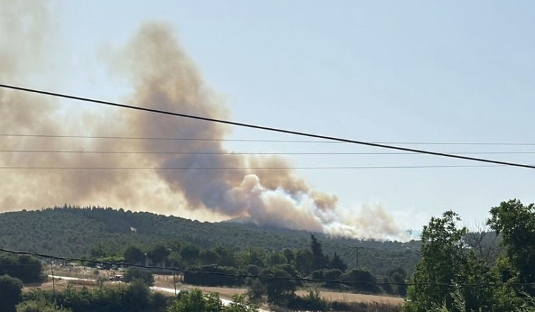 Biga’daki orman yangını kontrol altına alındı