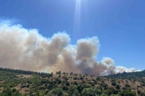 Bigadiç’te anız yangını