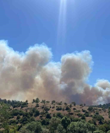Bigadiç’te anız yangını