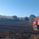 Bilecik’te çıkan yangında 130 dönüm buğday ekili alan zarar gördü