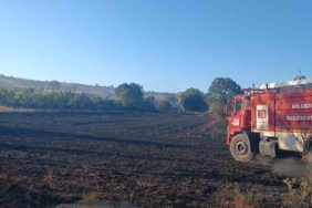 Bilecik’te çıkan yangında 130 dönüm buğday ekili alan zarar gördü