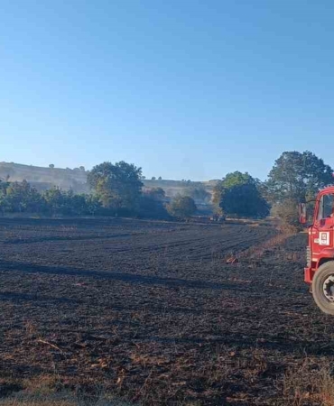 Bilecik’te çıkan yangında 130 dönüm buğday ekili alan zarar gördü