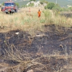 Bilecik’te elektrik tellerine çarpan kuş sürüsü yangına sebep oldu