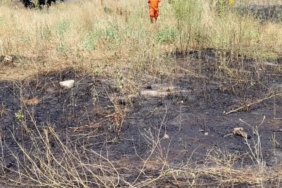 Bilecik’te elektrik tellerine çarpan kuş sürüsü yangına sebep oldu