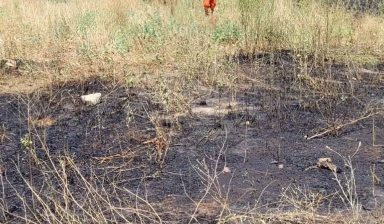 Bilecik’te elektrik tellerine çarpan kuş sürüsü yangına sebep oldu