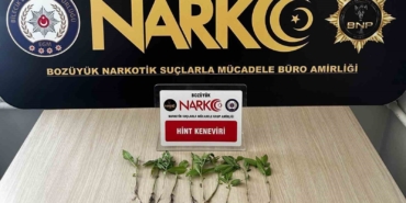 Bilecik’te evinde uyuşturucu yetiştiren şüpheliyi eşi ele verdi