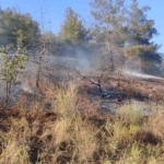 Bilecik’te ormanlık alanda çıkan yangın ekiplerin müdahalesiyle büyümeden söndürüldü