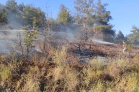 Bilecik’te ormanlık alanda çıkan yangın ekiplerin müdahalesiyle büyümeden söndürüldü