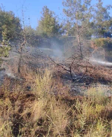 Bilecik’te ormanlık alanda çıkan yangın ekiplerin müdahalesiyle büyümeden söndürüldü