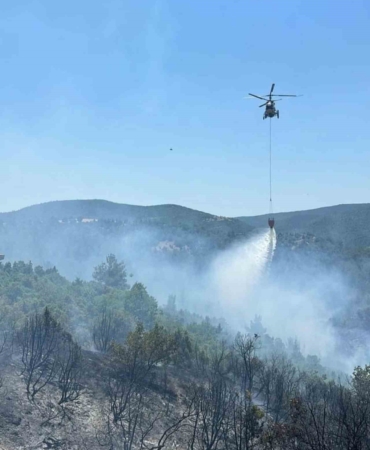 Bilecik’teki orman yangınına hem havadan hem karadan müdahale edildi