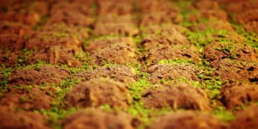 Bu bayram sporcusundan diyabet hastasına kadar herkes baklava yiyebilecek