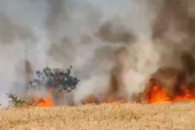 Buğday tarlası alev alev yandı