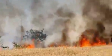 Buğday tarlası alev alev yandı