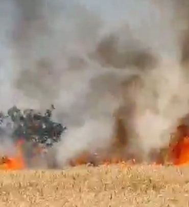 Buğday tarlası alev alev yandı