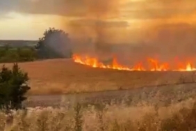Buğday tarlası saniyeler içerisinde küle döndü