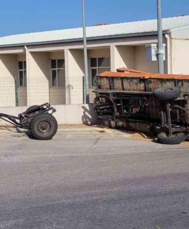 Buğday yüklü traktör devrildi, yol buğday ambarına döndü
