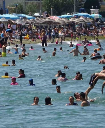 Bursa sahillerinden sevindiren haber