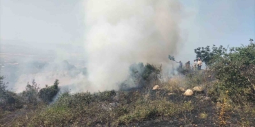 Bursa’da 1,5 hektar otluk alan yandı