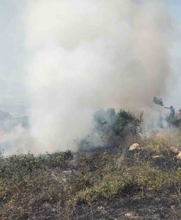 Bursa’da 1,5 hektar otluk alan yandı