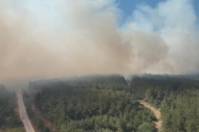 Bursa’da çıkan orman yangınıyla ilgili Cumhuriyet Başsavcılığı soruşturma başlattı