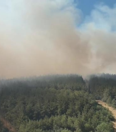 Bursa’da çıkan orman yangınıyla ilgili Cumhuriyet Başsavcılığı soruşturma başlattı