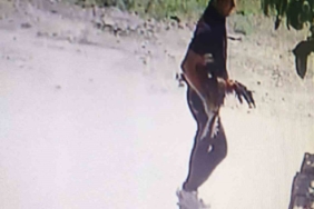 Bursa’da horoz hırsızı kamerada