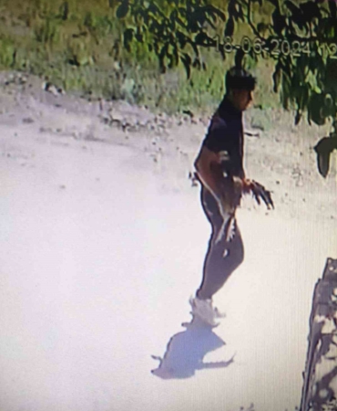 Bursa’da horoz hırsızı kamerada