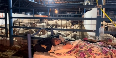 Bursa’da koyun koyuna kurban nöbeti