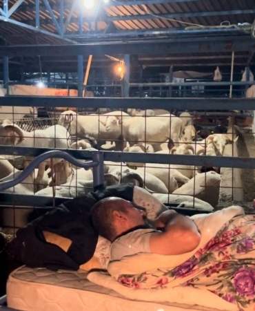 Bursa’da koyun koyuna kurban nöbeti