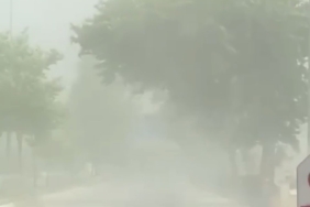 Bursa’da lodos denizi taşırdı, sahil kenarı göle döndü