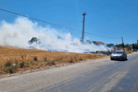 Bursa’da örtü yangını