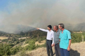 Bursa’daki orman yangınına havadan müdahale sürüyor