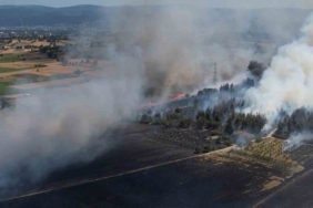 Bursa’daki yangın ormana sıçradı
