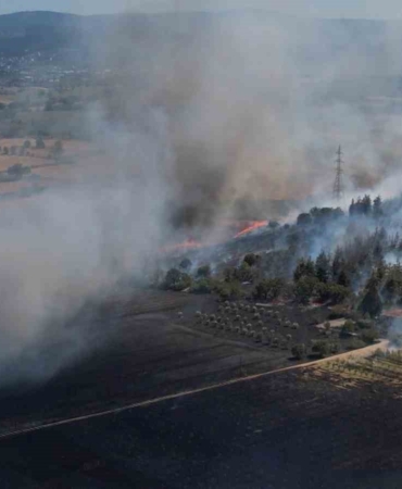 Bursa’daki yangın ormana sıçradı