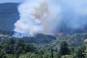Bursa’nın dağ ilçesinde orman yangını
