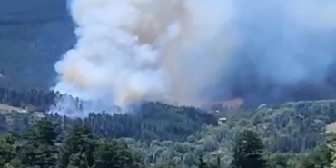 Bursa’nın dağ ilçesinde orman yangını