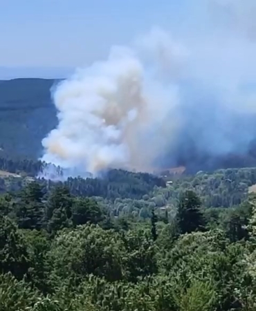 Bursa’nın dağ ilçesinde orman yangını