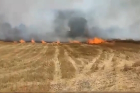 Büyükorhan’daki anız yangını korkuttu