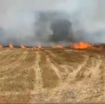 Büyükorhan’daki anız yangını korkuttu