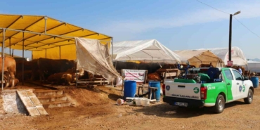 Büyükşehir Kurban Bayramı’na hazır