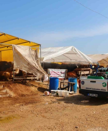 Büyükşehir Kurban Bayramı’na hazır