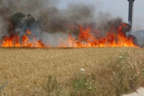 Çanakkale Valiliği’nden hava sıcaklığı ve orman yangını uyarısı